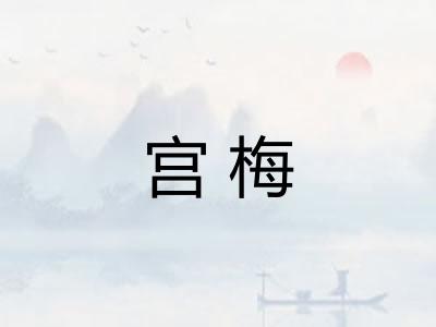宫梅
