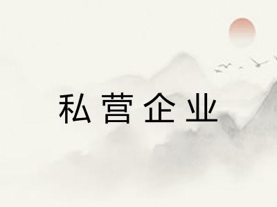 私营企业