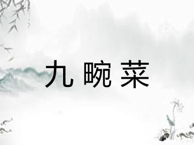 九畹菜