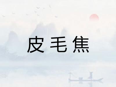 皮毛焦