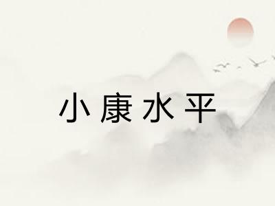 小康水平