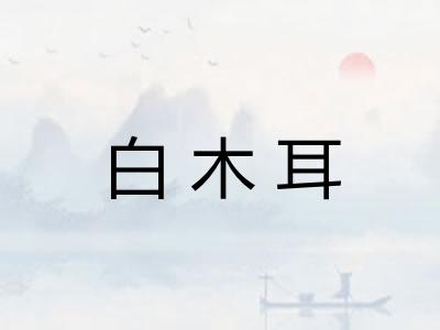 白木耳