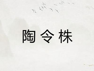 陶令株
