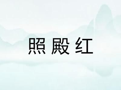 照殿红