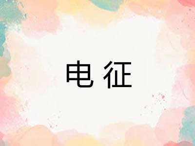 电征 电征