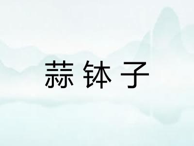 蒜钵子