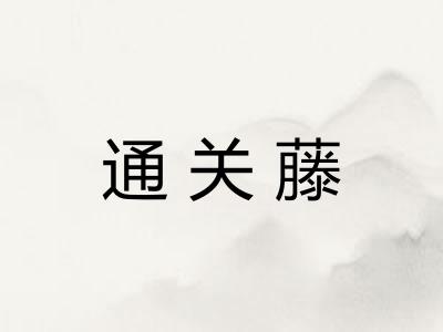 通关藤 通关藤