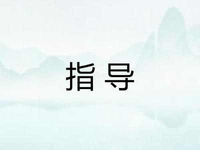 指导