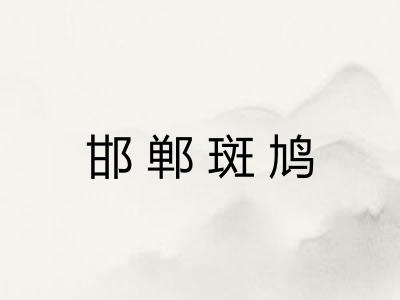 邯郸斑鸠