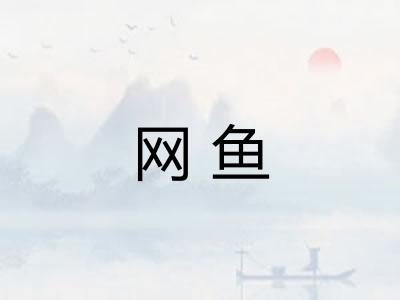 网鱼 网鱼