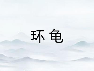 环龟