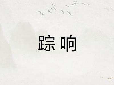 踪响