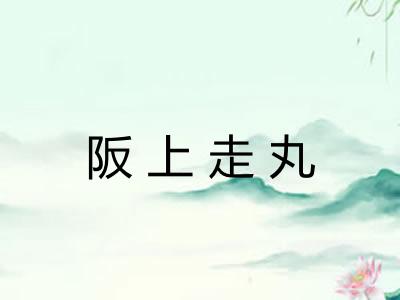阪上走丸