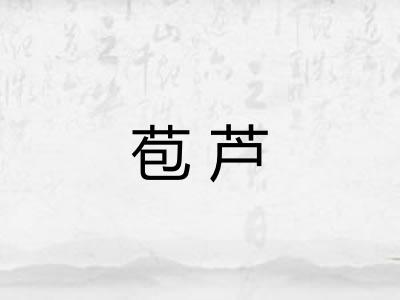 苞芦