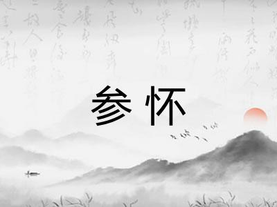 参怀