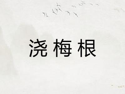 浇梅根