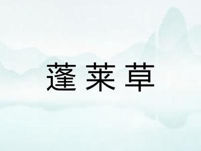 蓬莱草