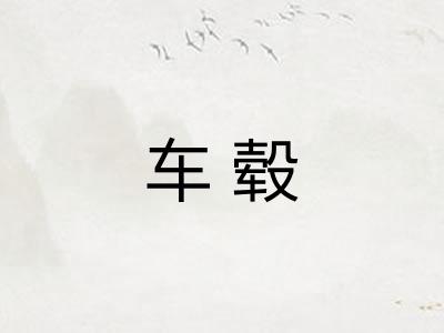 车毂