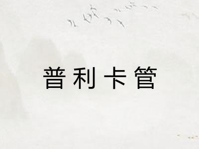 普利卡管