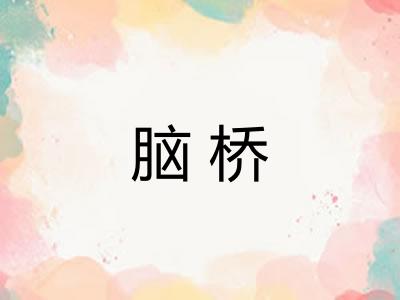 脑桥