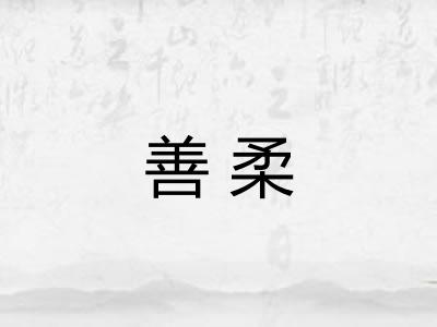 善柔