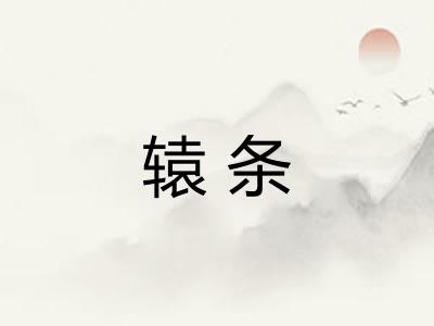 辕条