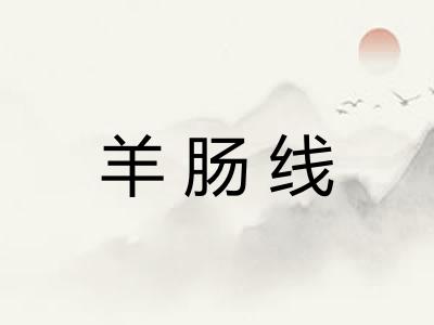 羊肠线 羊肠线