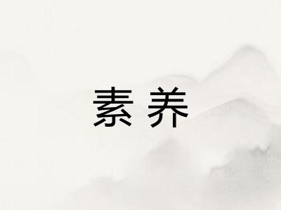 素养 素养
