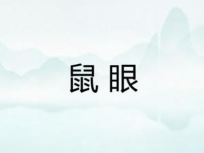 鼠眼 鼠眼