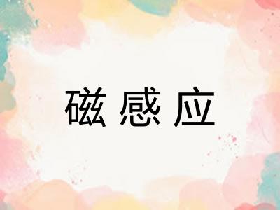 磁感应