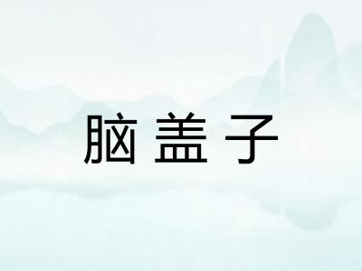 脑盖子