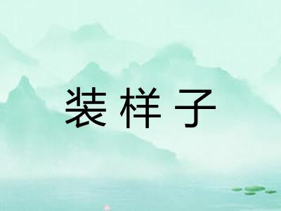 装样子