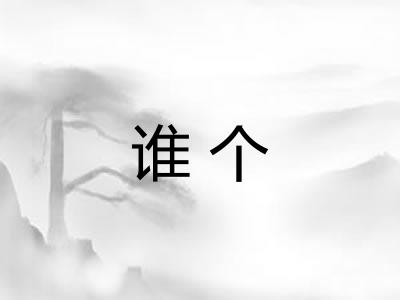 谁个