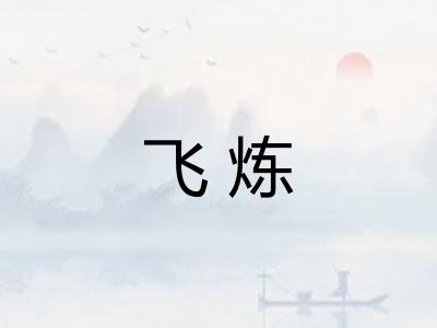 飞炼