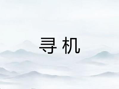 寻机 寻机