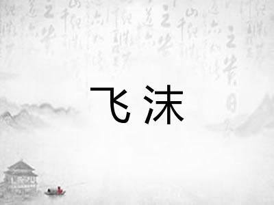 飞沫 飞沫