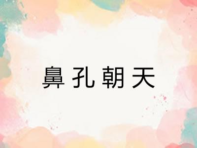 鼻孔朝天 鼻孔朝天