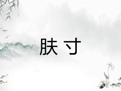 肤寸