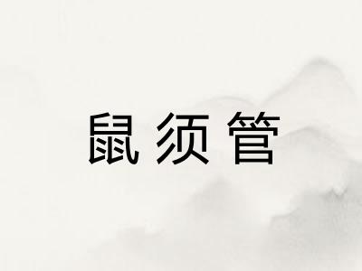 鼠须管