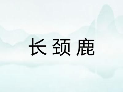 长颈鹿