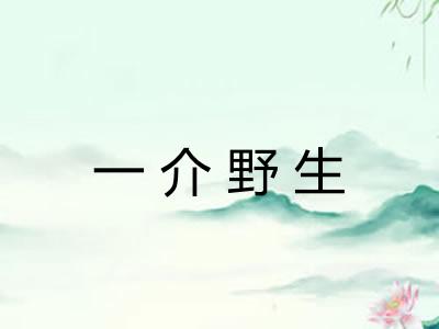 一介野生