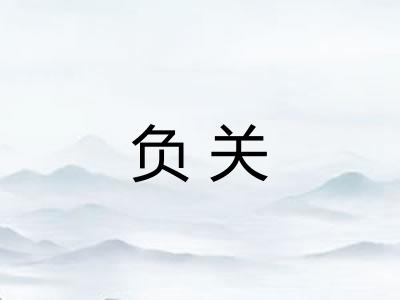 负关