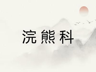 浣熊科