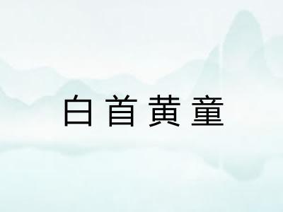 白首黄童