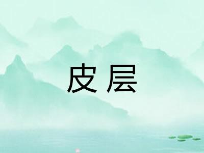 皮层