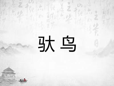 驮鸟