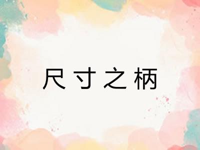 尺寸之柄