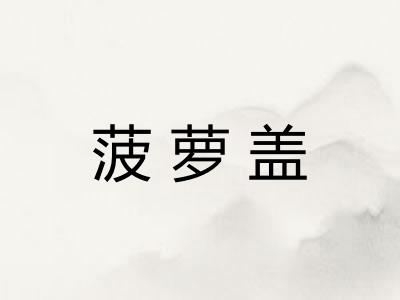 菠萝盖 菠萝盖