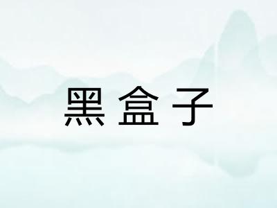 黑盒子