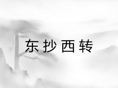 东抄西转
